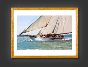 Colour Marine Photography