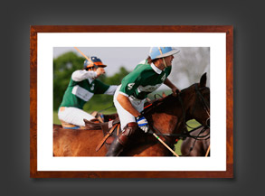 Equine Photography
