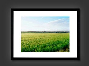 Landscape Photographic Images
