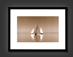 Sepia Marine Photography
