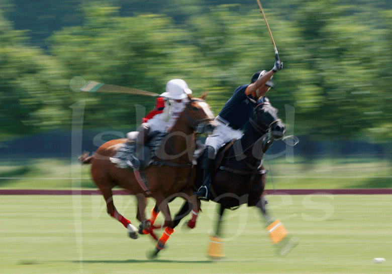 Polo Photographic Images in Colour