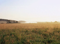 Newtown Creek - 0132