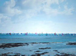 Round the Island Race Off Bembridge - 0121