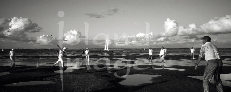 Panoramic Landscape Photographic Images