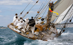 The Skipper - 0261