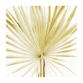 Botanical-1 - 0701